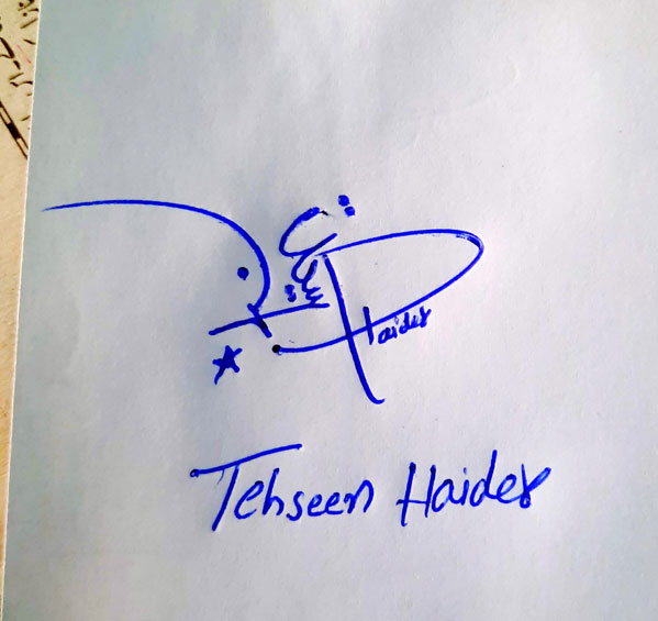 Tehseen Haider Name Online Signature Styles